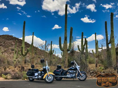 zwei Harleys ® und Saguaros - US BIKE TRAVEL