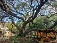Alamo - Garten - US BIKE TRAVEL™