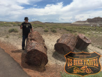 Petrified Forest NP - US BIKE TRAVEL