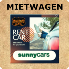 sunnycars usbt